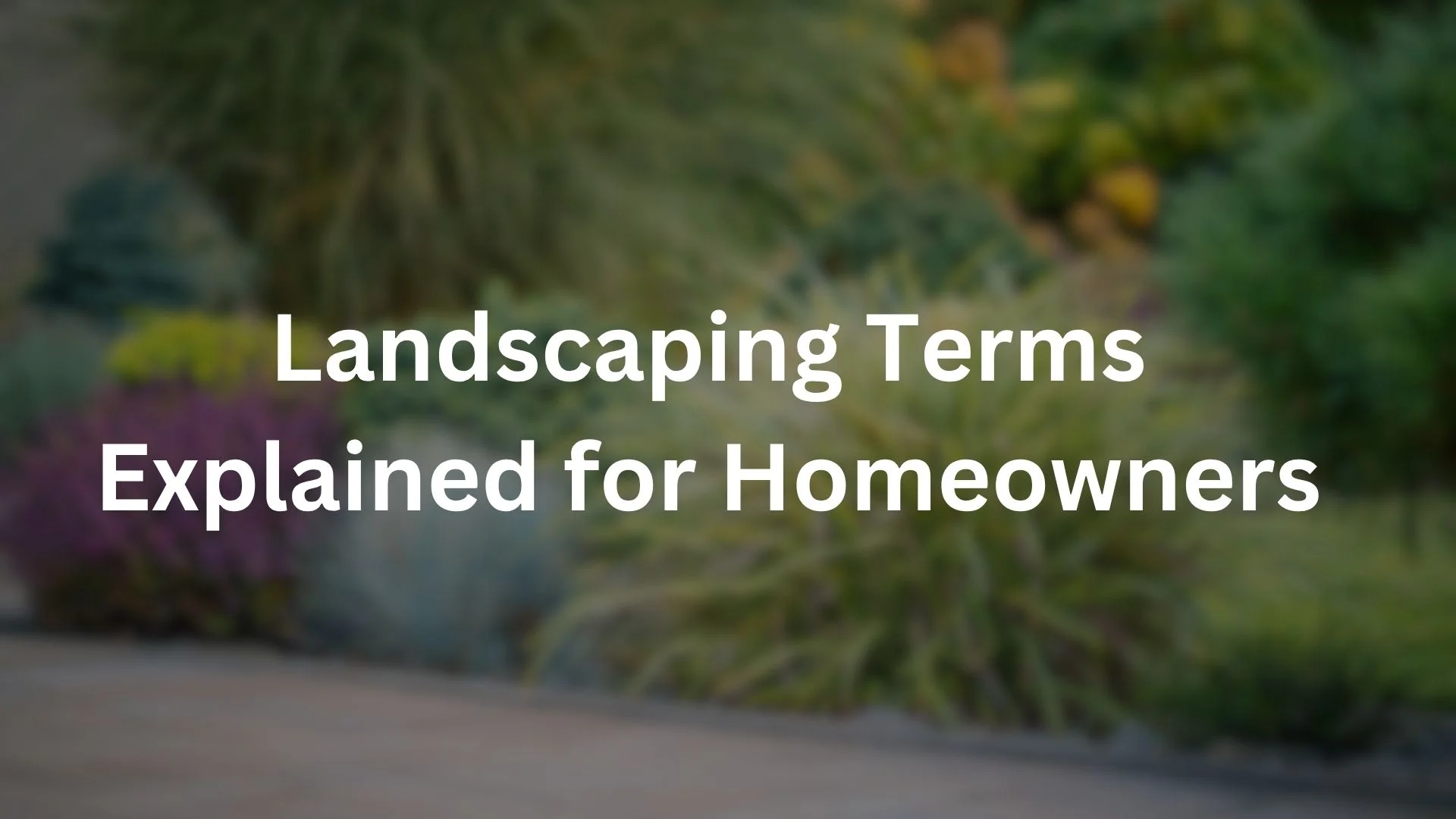 Landscaping Terms Explained for Homeowners